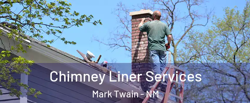 Chimney Liner Services Mark Twain - NM