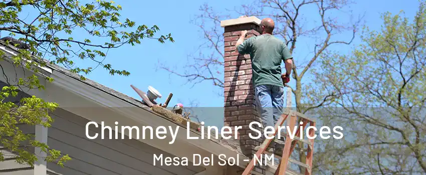 Chimney Liner Services Mesa Del Sol - NM