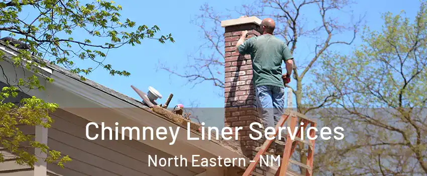 Chimney Liner Services North Eastern - NM