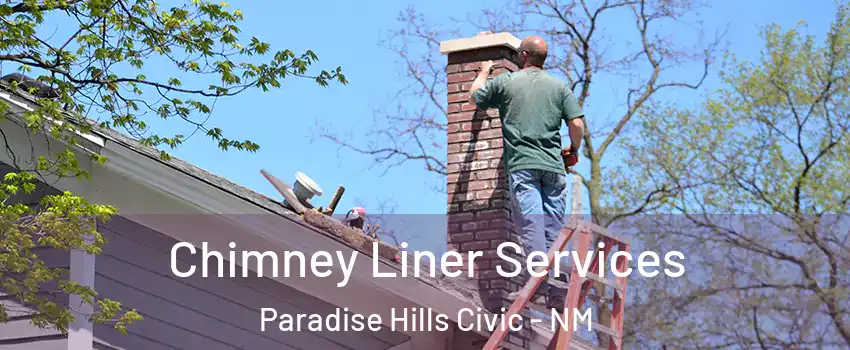 Chimney Liner Services Paradise Hills Civic - NM