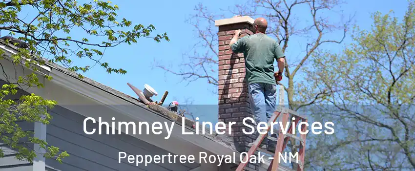 Chimney Liner Services Peppertree Royal Oak - NM