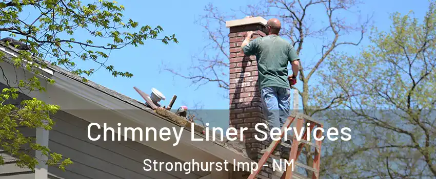 Chimney Liner Services Stronghurst Imp - NM