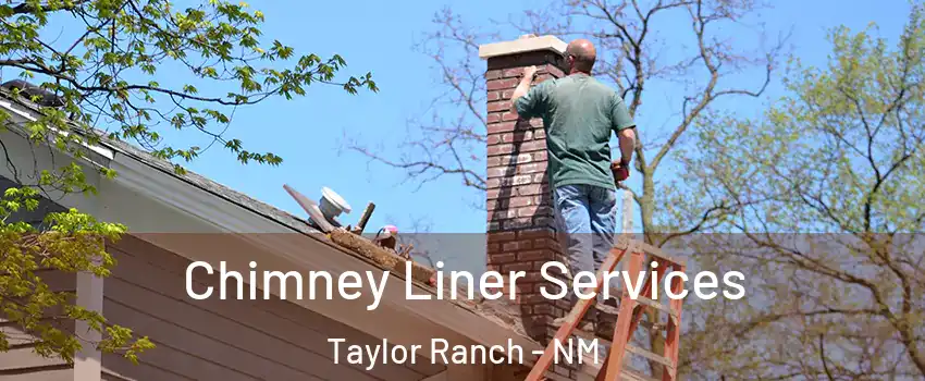 Chimney Liner Services Taylor Ranch - NM