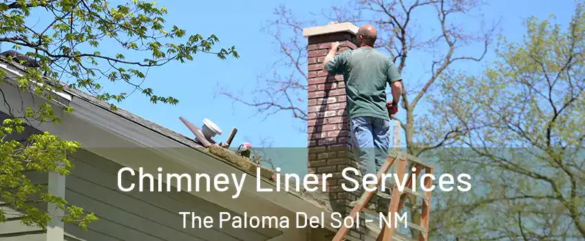 Chimney Liner Services The Paloma Del Sol - NM