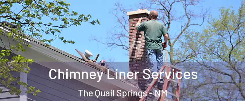 Chimney Liner Services The Quail Springs - NM