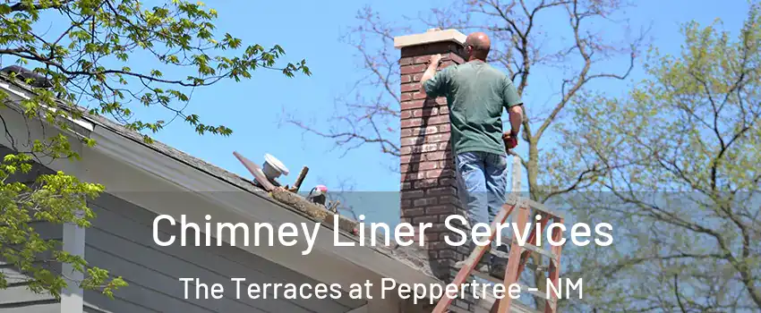Chimney Liner Services The Terraces at Peppertree - NM