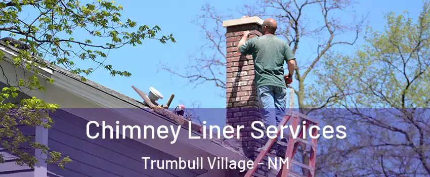 Chimney Liner Services Trumbull Village - NM