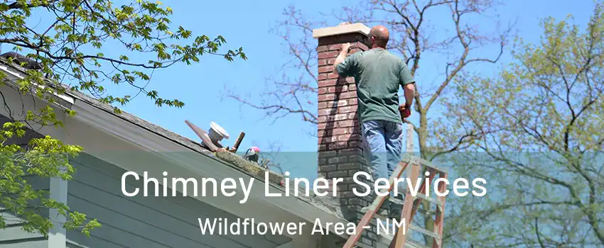 Chimney Liner Services Wildflower Area - NM