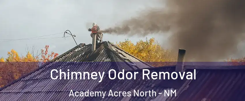 Chimney Odor Removal Academy Acres North - NM