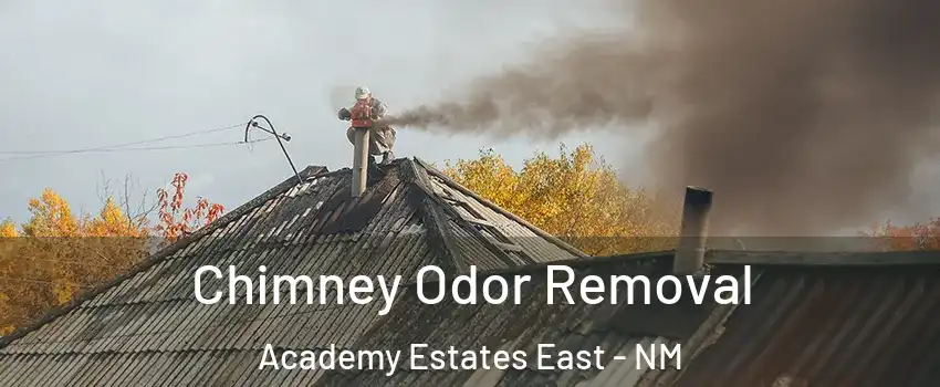 Chimney Odor Removal Academy Estates East - NM