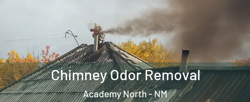 Chimney Odor Removal Academy North - NM