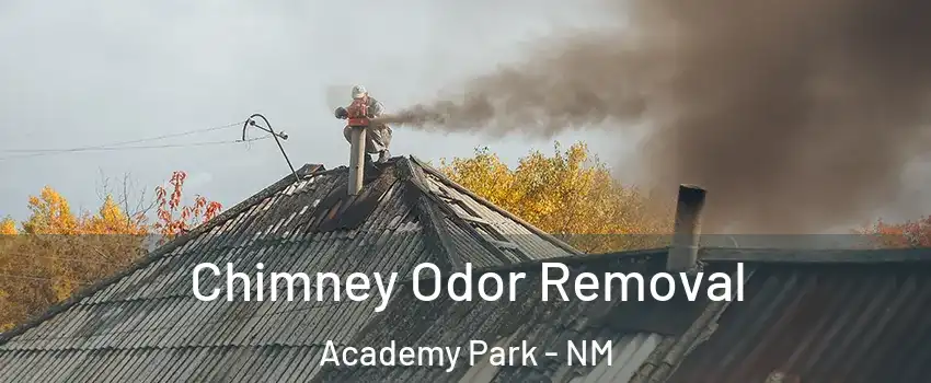 Chimney Odor Removal Academy Park - NM