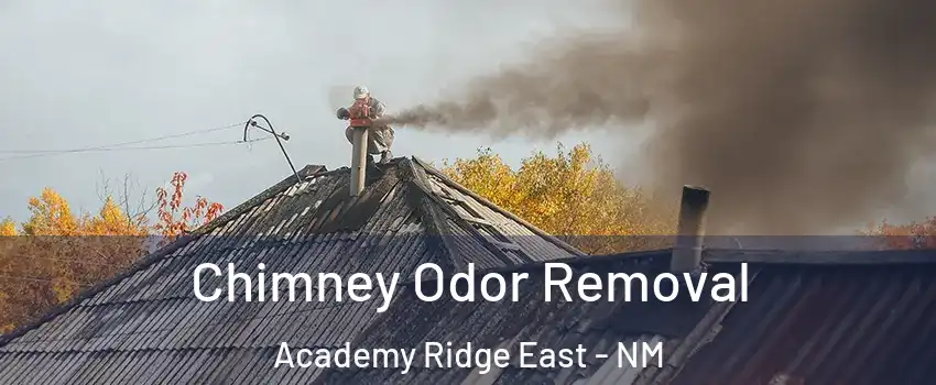 Chimney Odor Removal Academy Ridge East - NM
