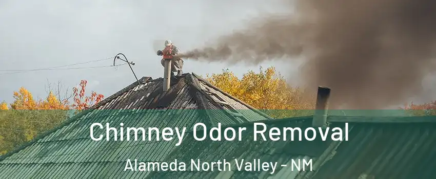 Chimney Odor Removal Alameda North Valley - NM