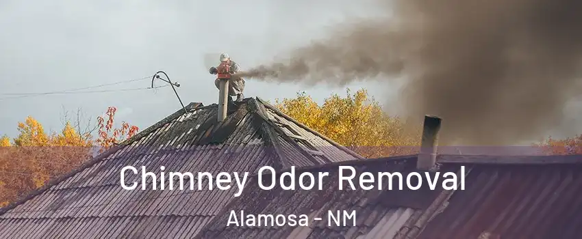 Chimney Odor Removal Alamosa - NM