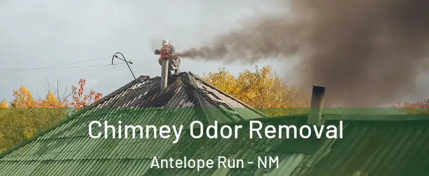 Chimney Odor Removal Antelope Run - NM