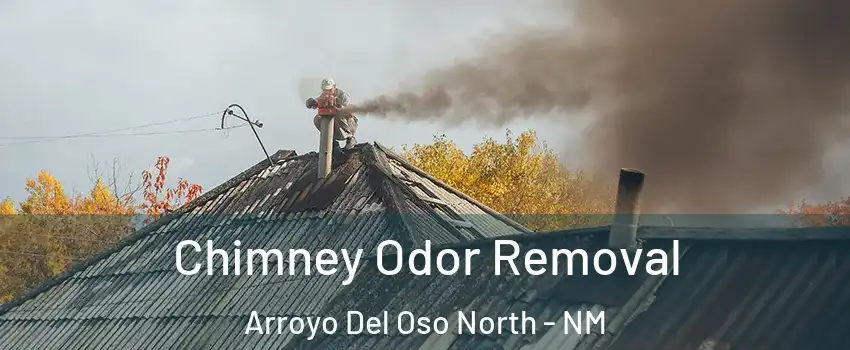 Chimney Odor Removal Arroyo Del Oso North - NM
