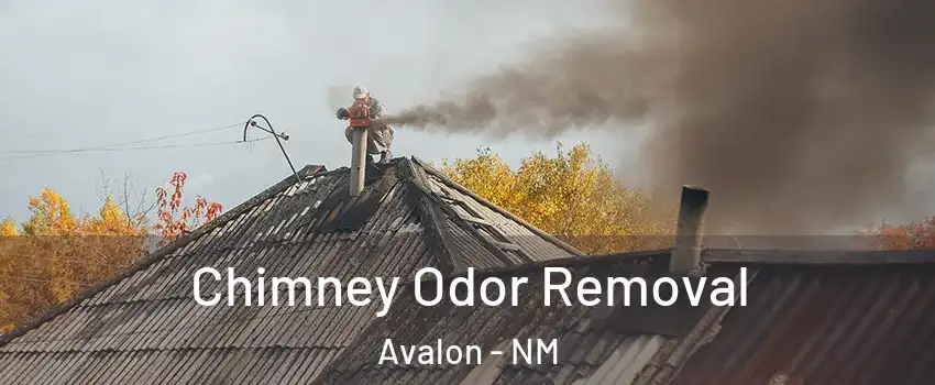 Chimney Odor Removal Avalon - NM