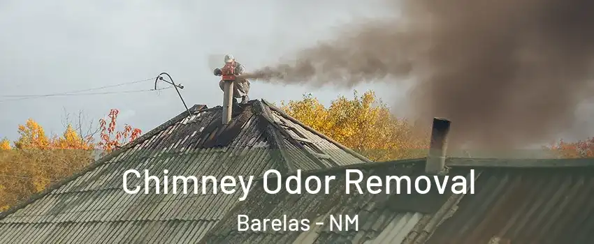 Chimney Odor Removal Barelas - NM