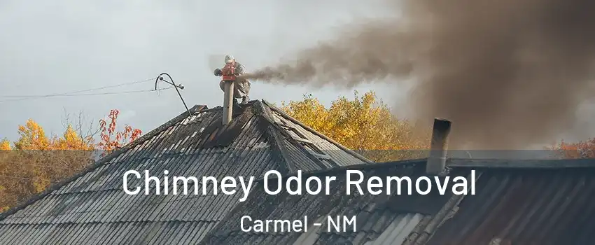 Chimney Odor Removal Carmel - NM