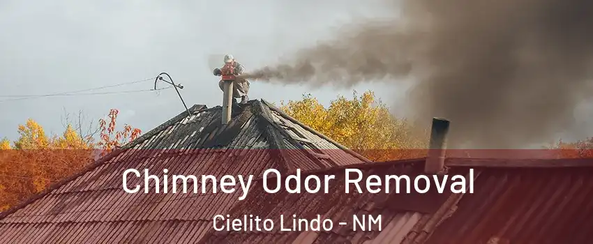 Chimney Odor Removal Cielito Lindo - NM