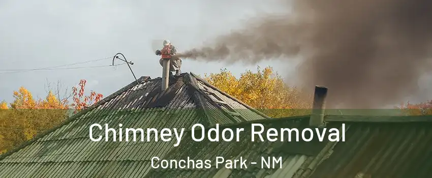 Chimney Odor Removal Conchas Park - NM