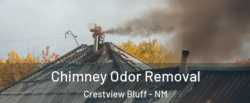 Chimney Odor Removal Crestview Bluff - NM