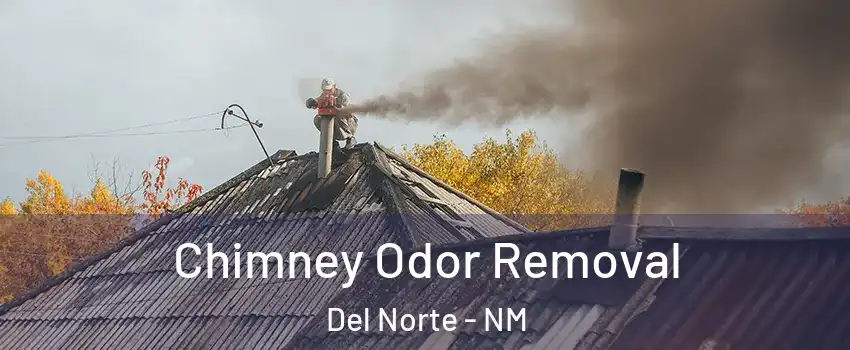 Chimney Odor Removal Del Norte - NM