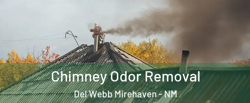 Chimney Odor Removal Del Webb Mirehaven - NM