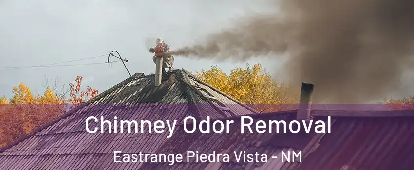 Chimney Odor Removal Eastrange Piedra Vista - NM