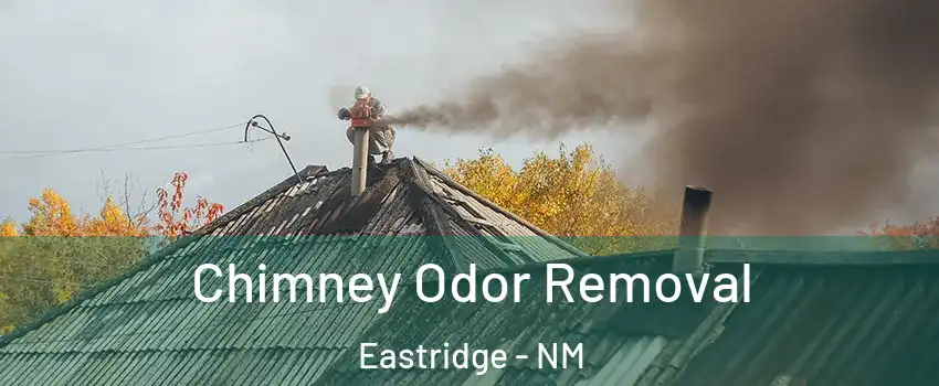 Chimney Odor Removal Eastridge - NM
