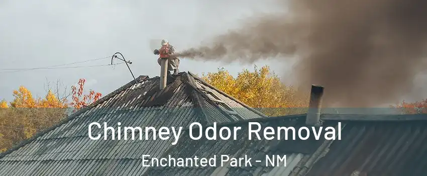 Chimney Odor Removal Enchanted Park - NM