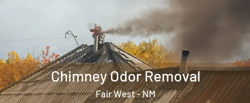 Chimney Odor Removal Fair West - NM