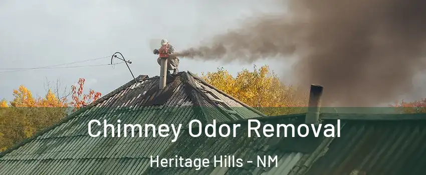 Chimney Odor Removal Heritage Hills - NM