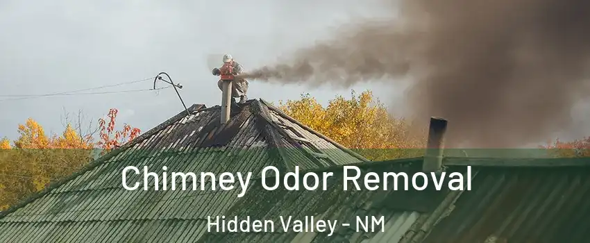 Chimney Odor Removal Hidden Valley - NM