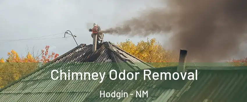 Chimney Odor Removal Hodgin - NM