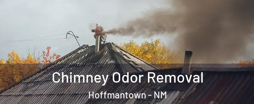 Chimney Odor Removal Hoffmantown - NM