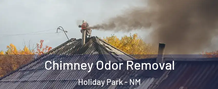 Chimney Odor Removal Holiday Park - NM