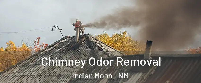 Chimney Odor Removal Indian Moon - NM