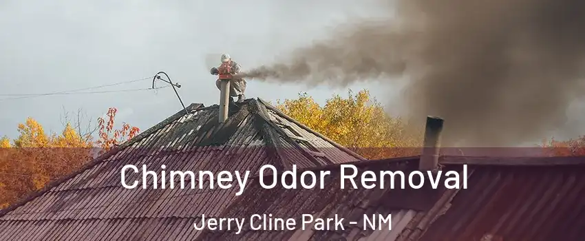 Chimney Odor Removal Jerry Cline Park - NM