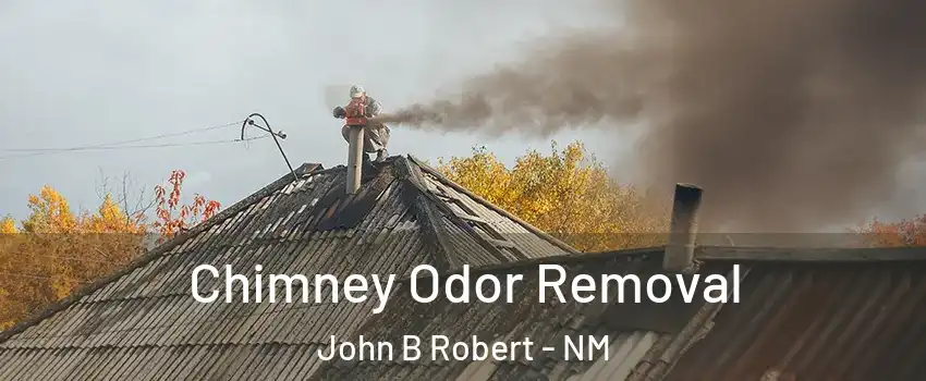 Chimney Odor Removal John B Robert - NM