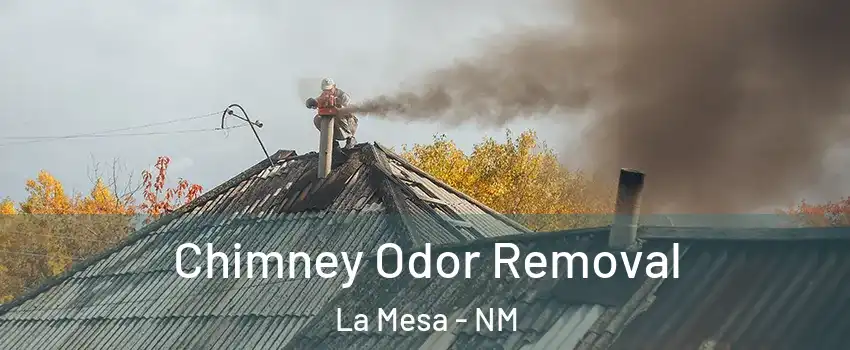 Chimney Odor Removal La Mesa - NM