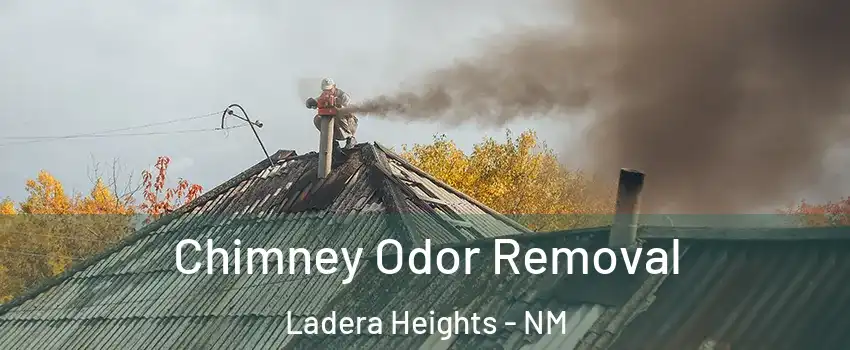 Chimney Odor Removal Ladera Heights - NM