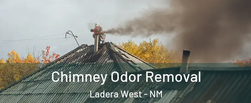 Chimney Odor Removal Ladera West - NM
