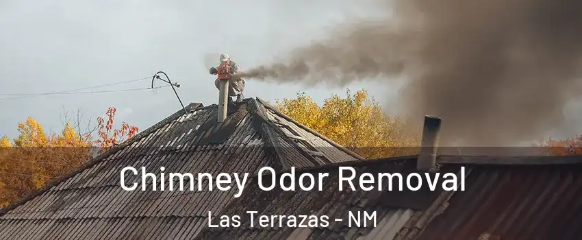 Chimney Odor Removal Las Terrazas - NM