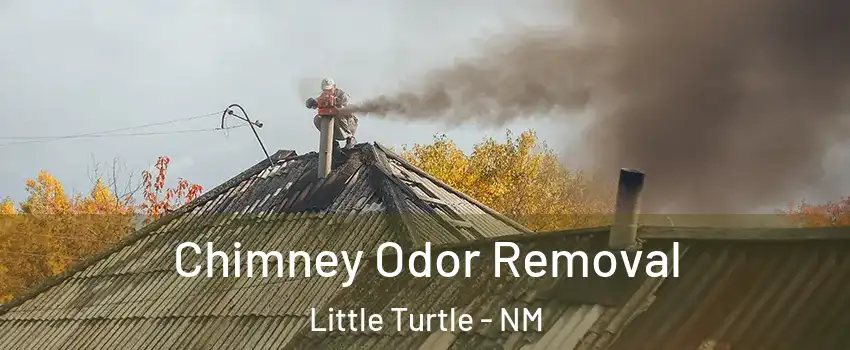 Chimney Odor Removal Little Turtle - NM
