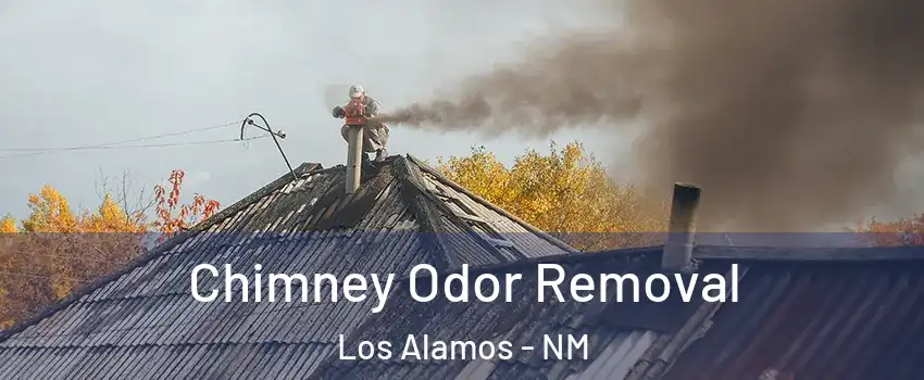 Chimney Odor Removal Los Alamos - NM