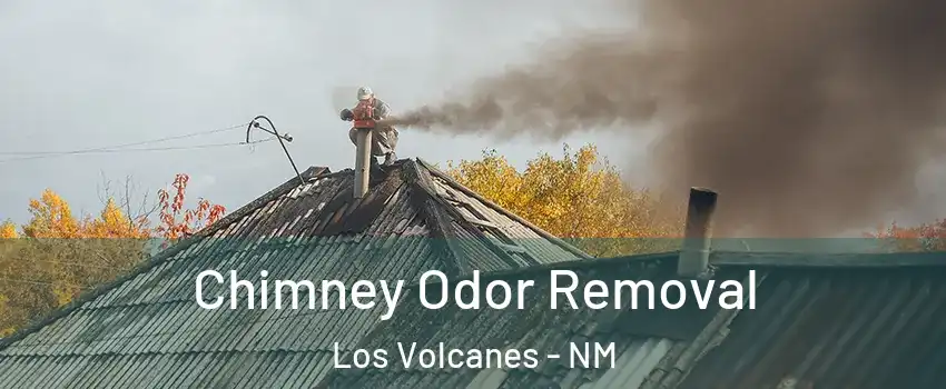 Chimney Odor Removal Los Volcanes - NM