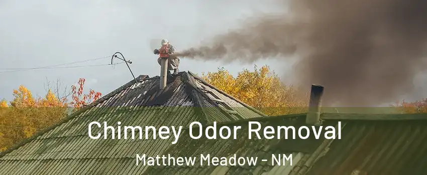 Chimney Odor Removal Matthew Meadow - NM