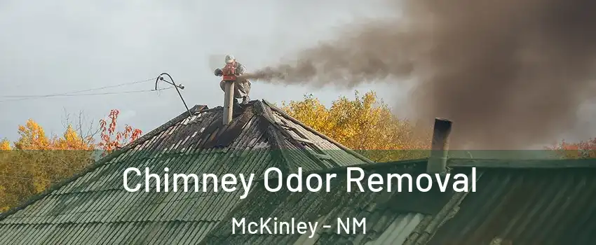 Chimney Odor Removal McKinley - NM